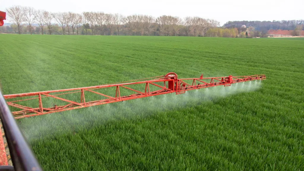 Nowe rozwiązanie na płatek w rzepaku