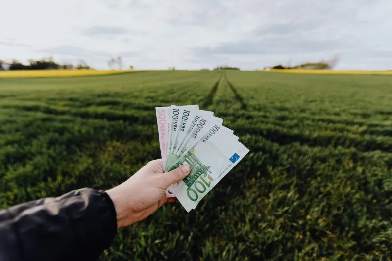 W co zainwestować swoje pieniądze?